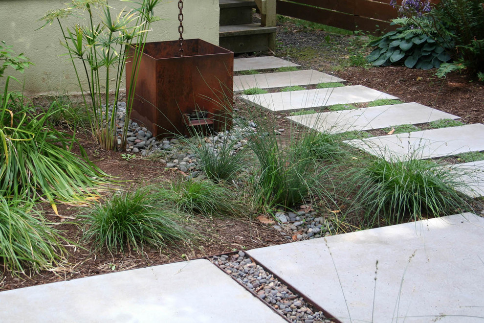 Inspiration pour un jardin arrière design avec une exposition ombragée et des pavés en béton.