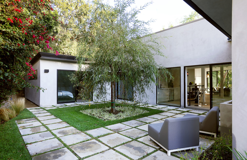 Immagine di un giardino moderno di medie dimensioni e in cortile con pavimentazioni in cemento