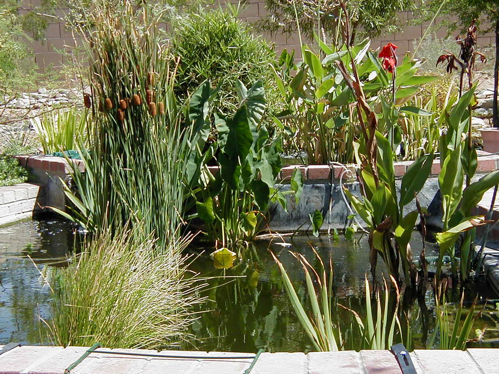 Ejemplo de jardín de secano de estilo americano de tamaño medio en patio trasero con muro de contención, exposición total al sol y adoquines de ladrillo