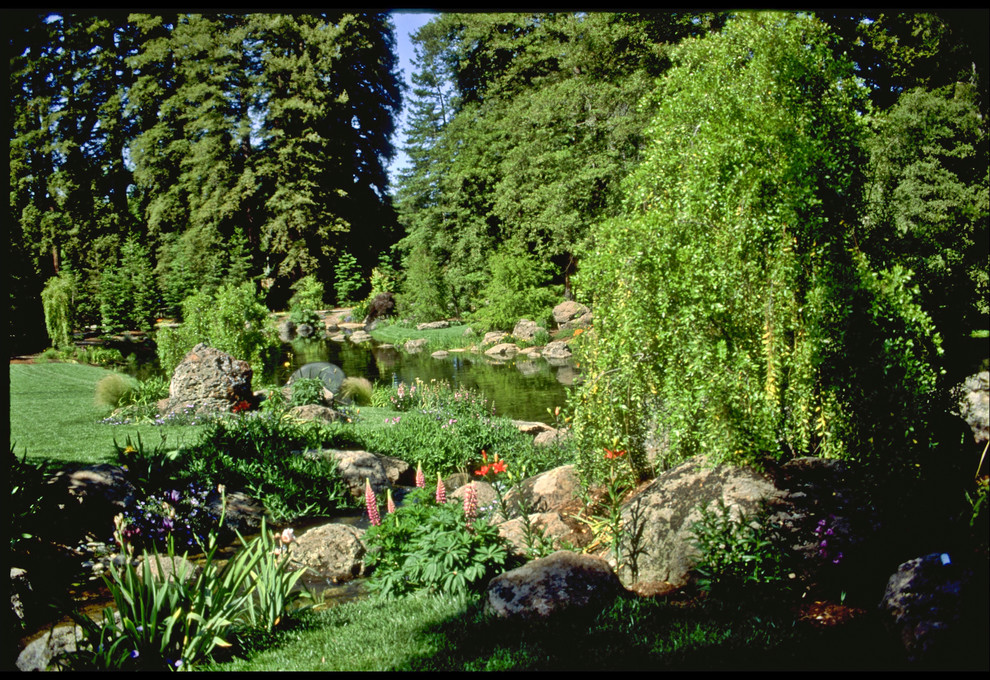 На фото: огромный сад с прудом на заднем дворе в классическом стиле