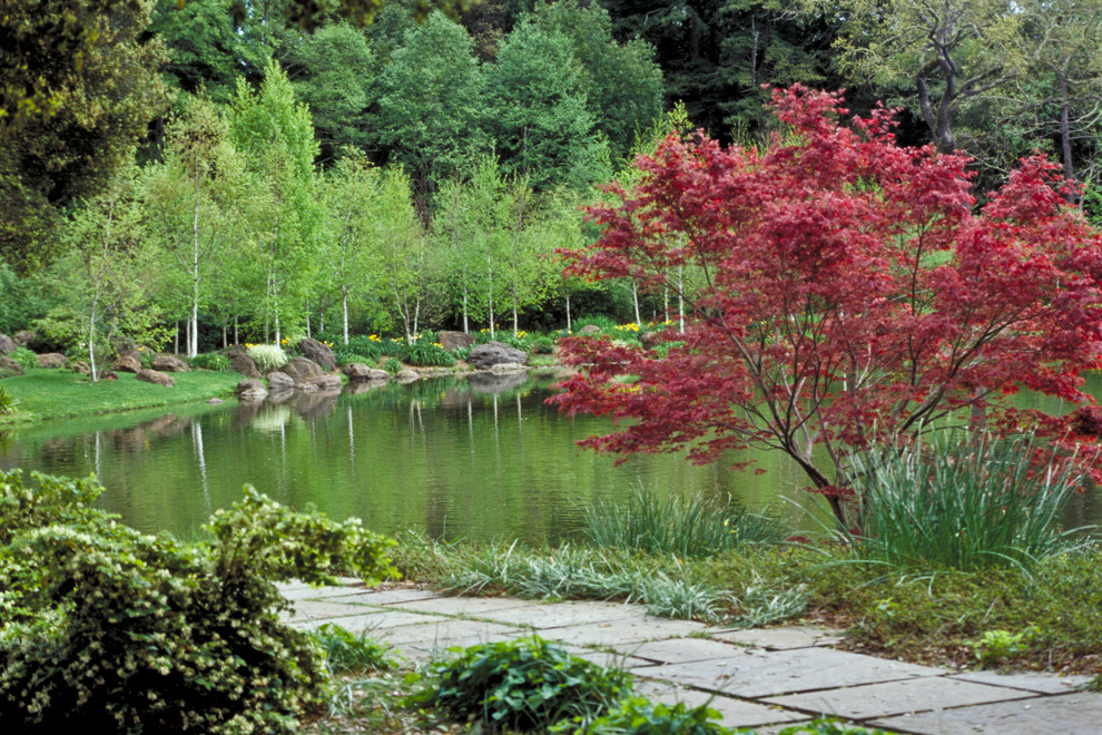 Design ideas for a huge traditional backyard stone pond in Other.
