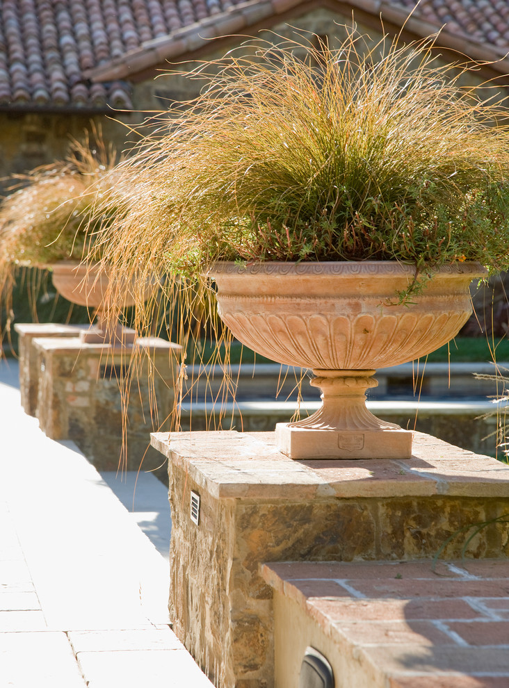Esempio di un giardino formale mediterraneo esposto in pieno sole di medie dimensioni e in cortile con un giardino in vaso e pavimentazioni in pietra naturale