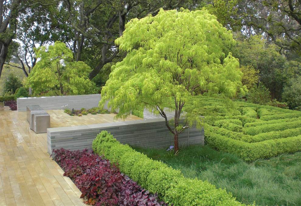 Foto di un giardino formale minimal dietro casa con pedane