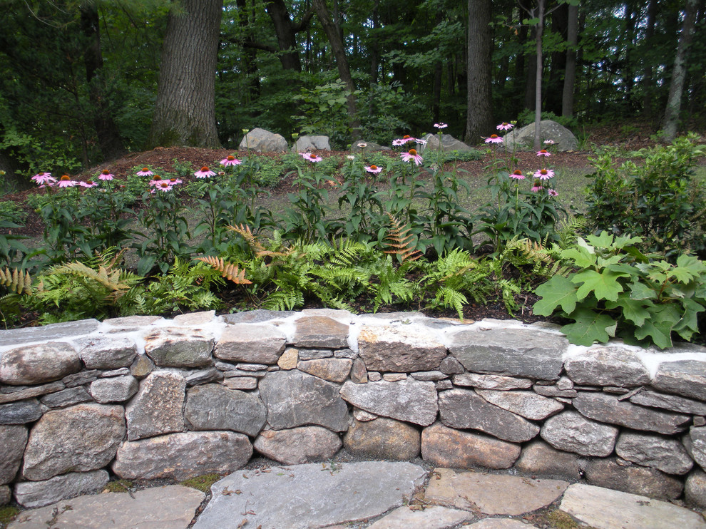 Photo of a transitional landscaping in Boston.