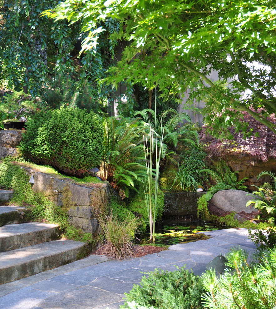 Exemple d'un jardin avant asiatique de taille moyenne avec un point d'eau, une exposition partiellement ombragée et des pavés en pierre naturelle.