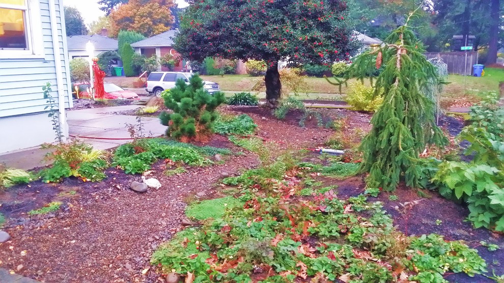 Idee per un giardino xeriscape stile americano di medie dimensioni in inverno con un ingresso o sentiero e pavimentazioni in pietra naturale