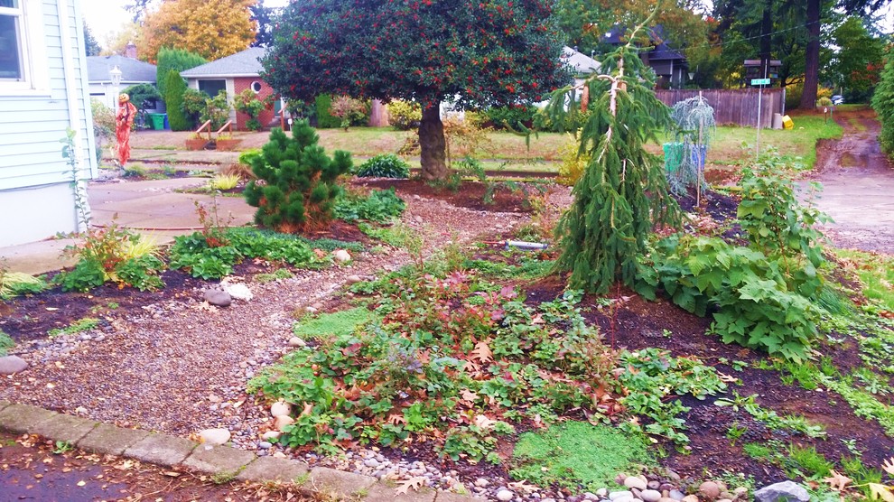 ポートランドにあるお手頃価格の中くらいな、冬のトラディショナルスタイルのおしゃれな庭 (ゼリスケープ、庭への小道、天然石敷き) の写真