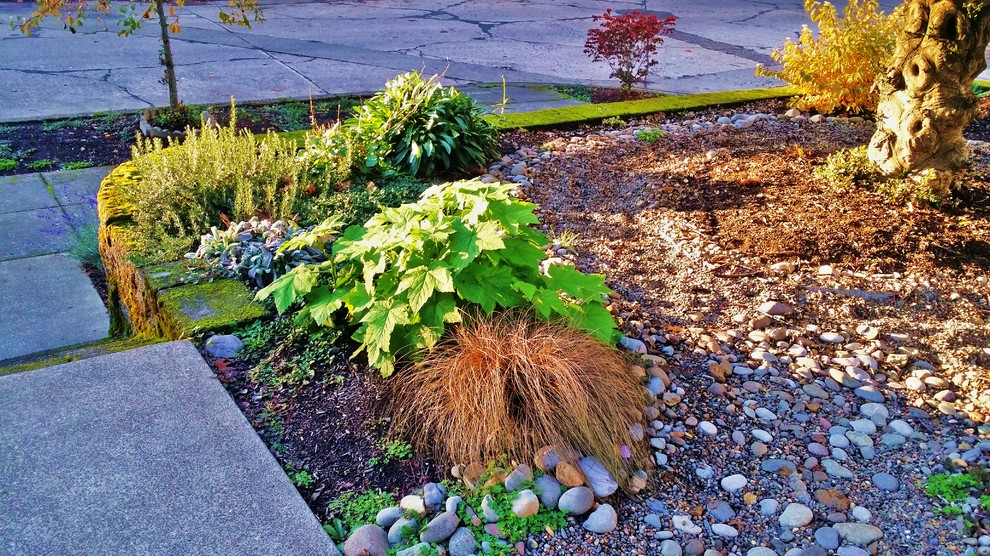 This is an example of a medium sized traditional xeriscape garden for winter in Portland with a garden path and natural stone paving.