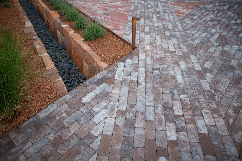 Inspiration for a contemporary back xeriscape full sun garden in Albuquerque with brick paving.