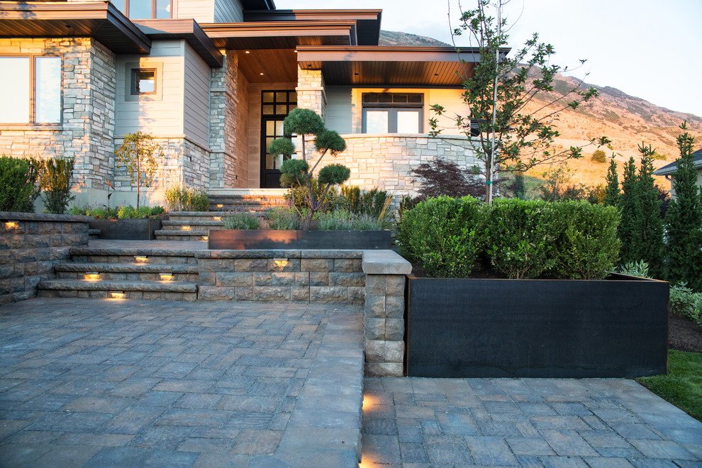 Immagine di un giardino minimal di medie dimensioni e davanti casa con un giardino in vaso e pavimentazioni in cemento