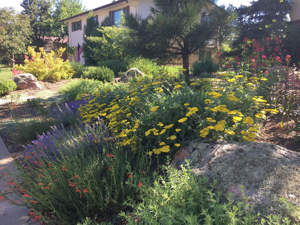 Kleiner Mediterraner Vorgarten mit direkter Sonneneinstrahlung und Natursteinplatten in Denver