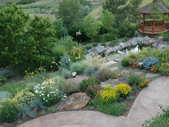 Xeric Cl sico Jard n D nver De Lifescape Colorado Houzz