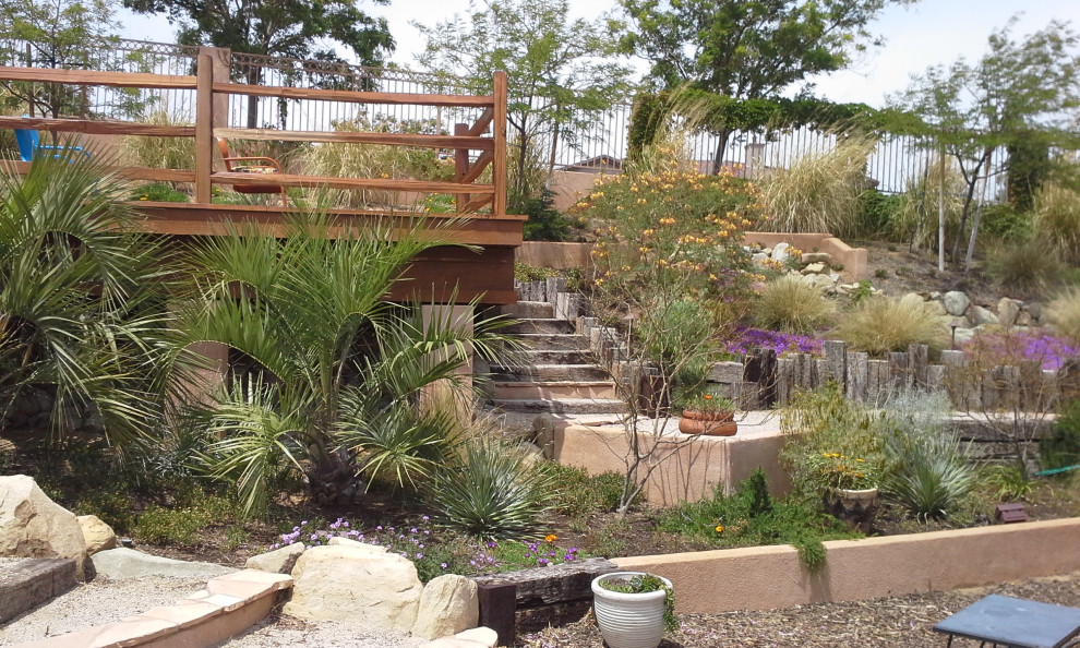 Foto de jardín de secano ecléctico de tamaño medio en verano en patio delantero con paisajismo estilo desértico, exposición total al sol y piedra decorativa