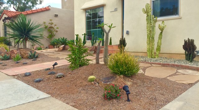 Xeriscape & Drought Tolerant Designs - Contemporary - Garden - San ...