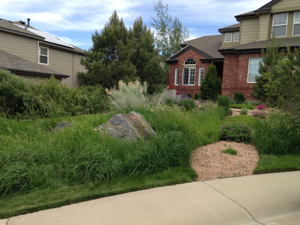 Xeriscape & Landscape Design Contemporary Landscape Denver by Aria Alfresco Houzz