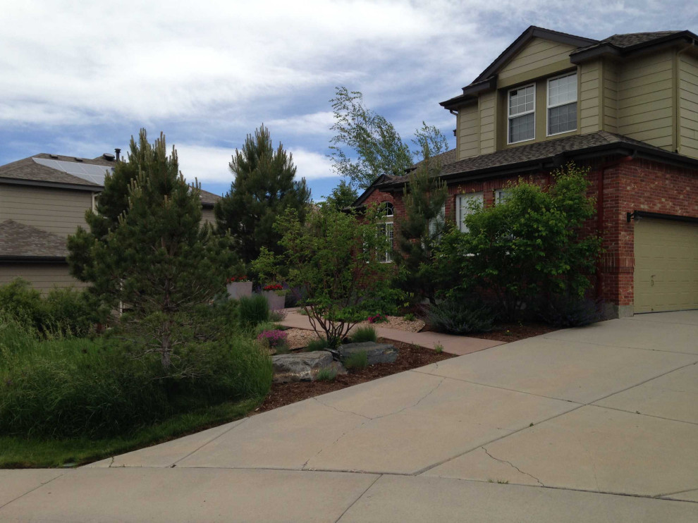 Medium sized contemporary front xeriscape full sun garden in Denver with a flowerbed.