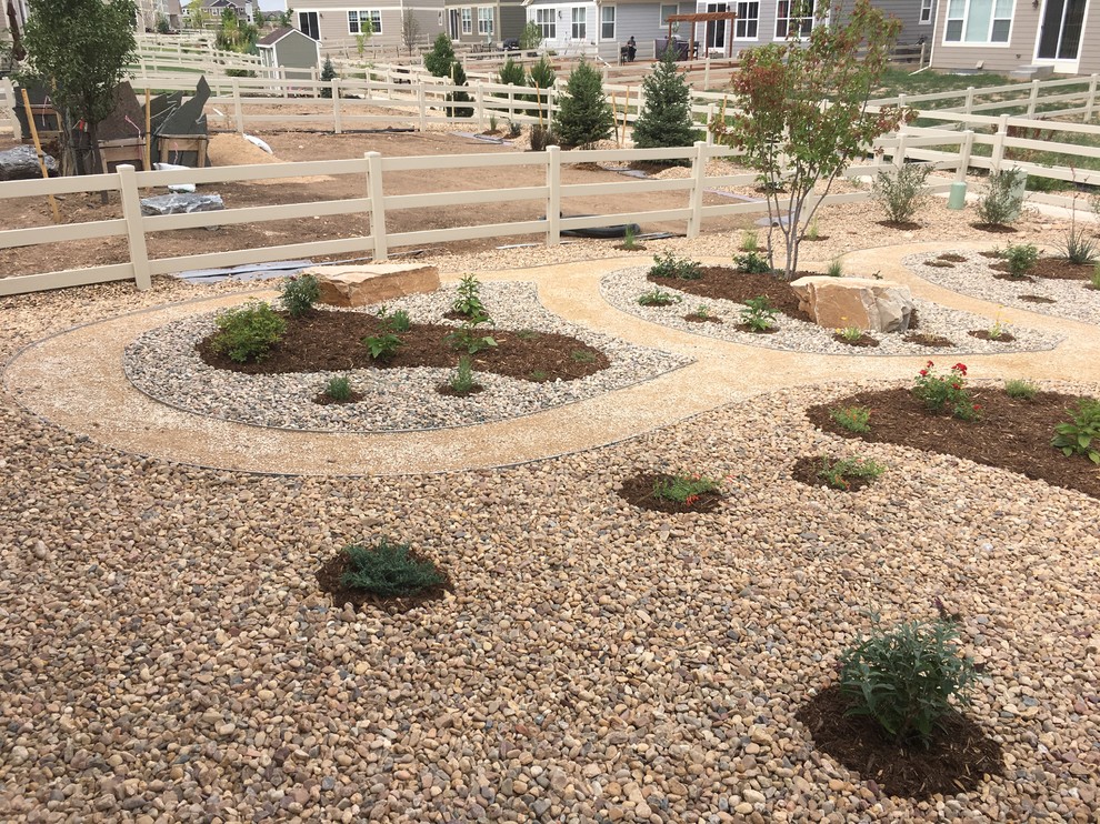 Xeriscape and Prairiescape Design for Small Backyard Di transizione