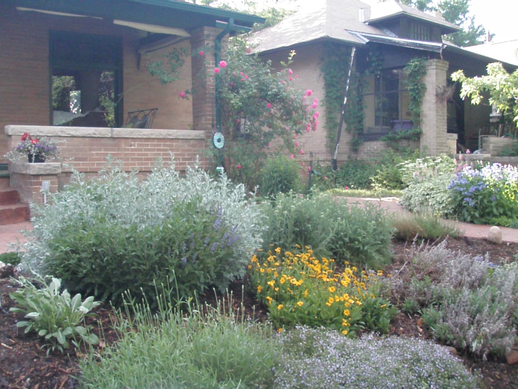 Xeriscape Colorado Eclectic Landscape Denver Houzz