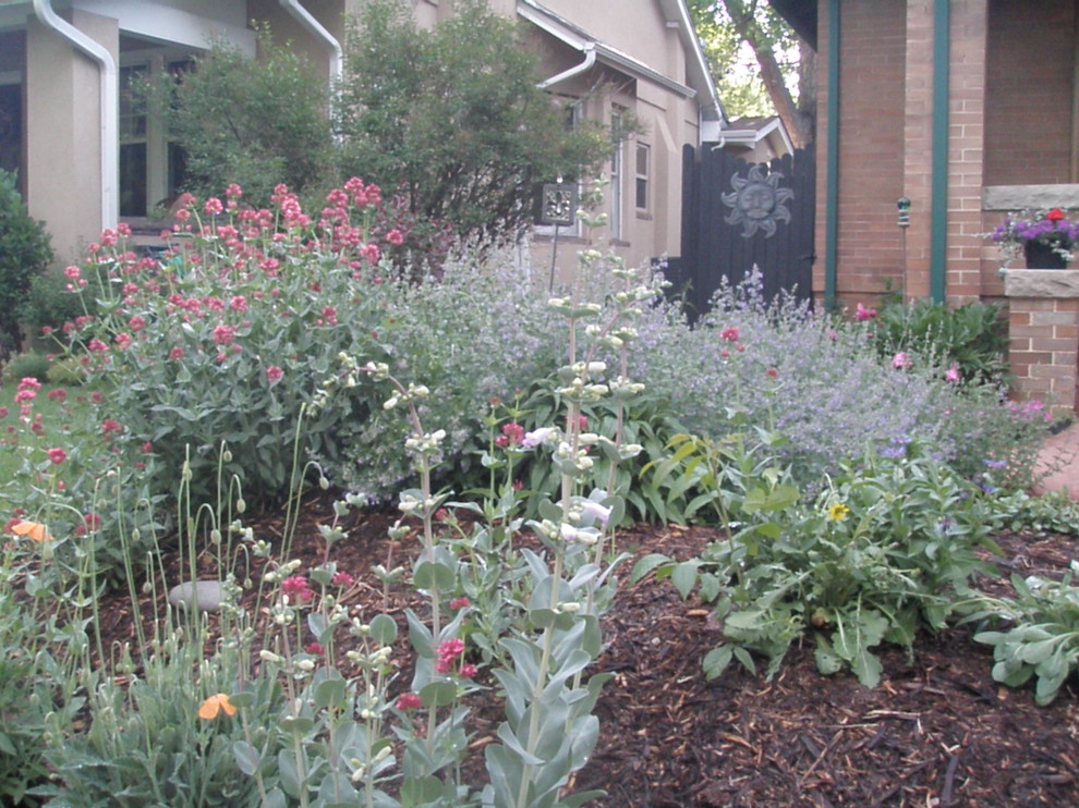 This is an example of a bohemian garden in Denver.