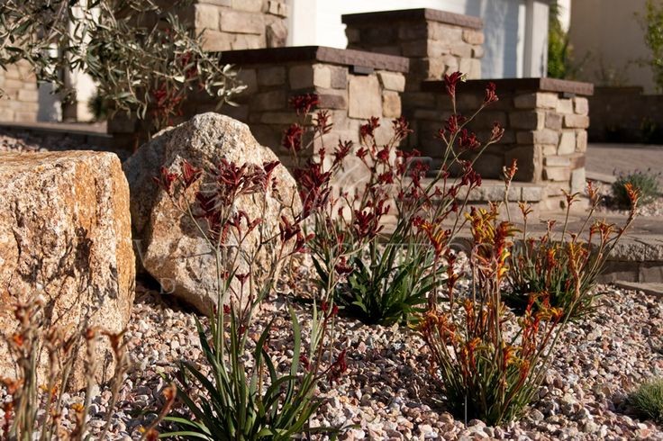This is an example of a large drought-tolerant front yard concrete paver landscaping in San Diego.