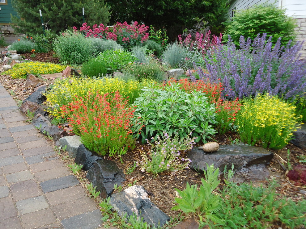 Xeriscapes - Contemporary - Landscape - Denver - by Sage & Stone ...