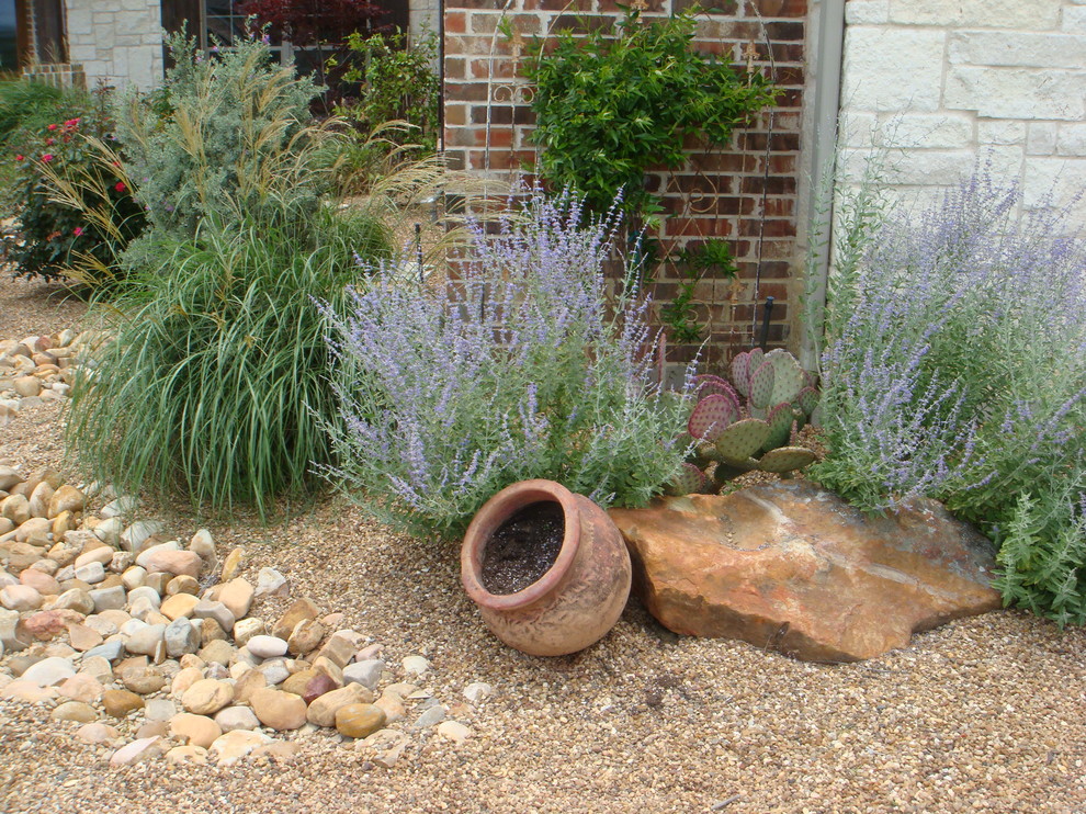 xeriscaping Traditional Landscape Dallas by Absolutely Bushed