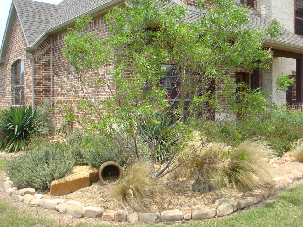 xeriscaping Traditional Landscape Dallas by Absolutely Bushed
