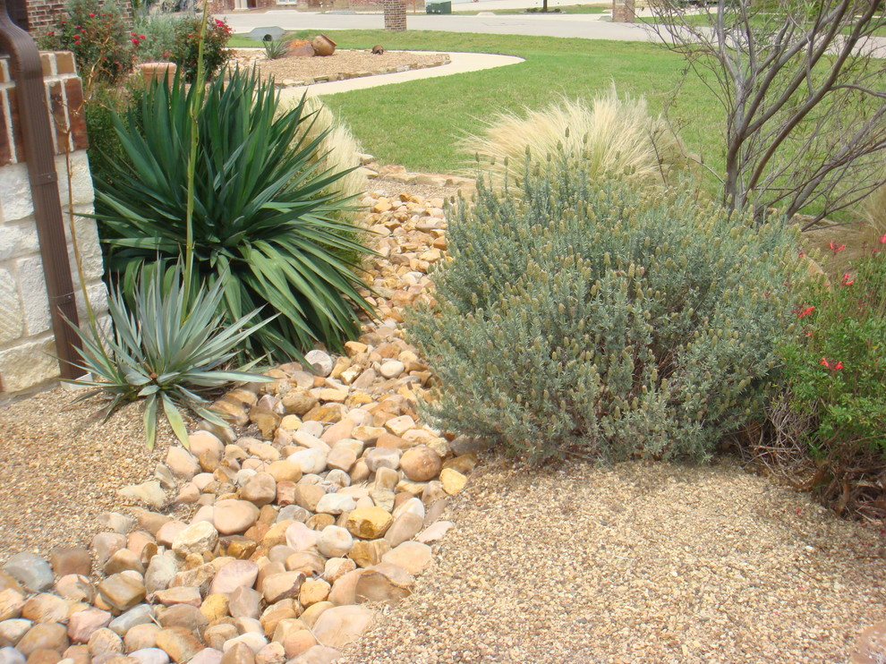 xeriscaping Traditional Landscape Dallas by Absolutely Bushed