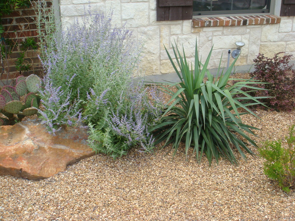 xeriscaping Traditional Landscape Dallas by Absolutely Bushed