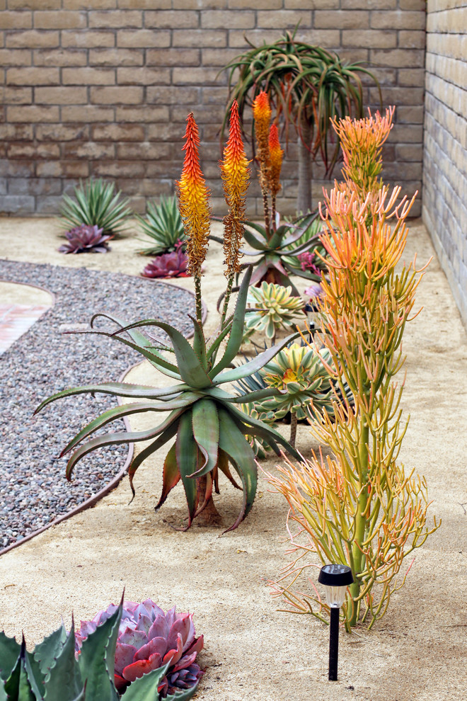 Xeroscape Garden in Dana Point - Southwestern - Landscape - Orange ...