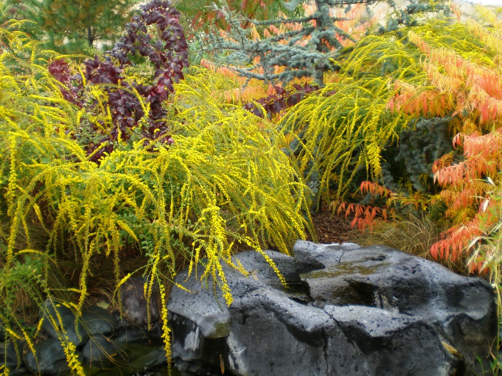 Cette image montre un jardin arrière design l'automne.