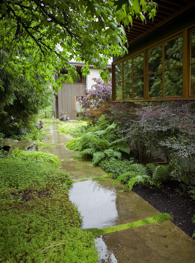 シアトルにあるモダンスタイルのおしゃれな庭の写真