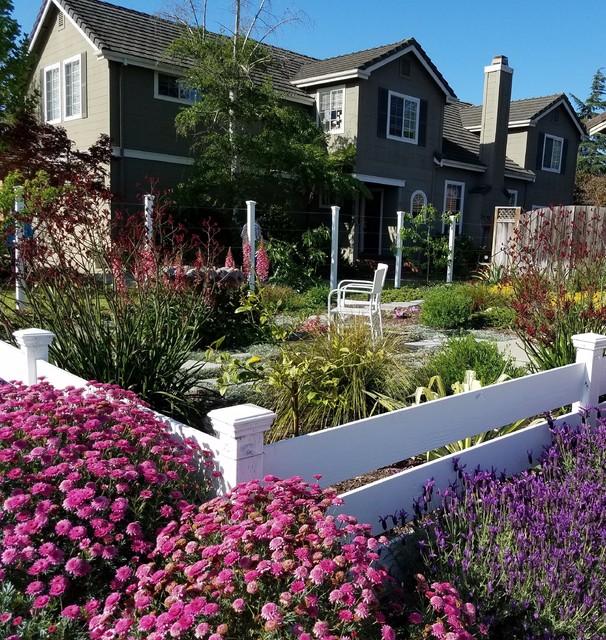 Year Round Color In Soquel Eclectic, Year Round Landscaping