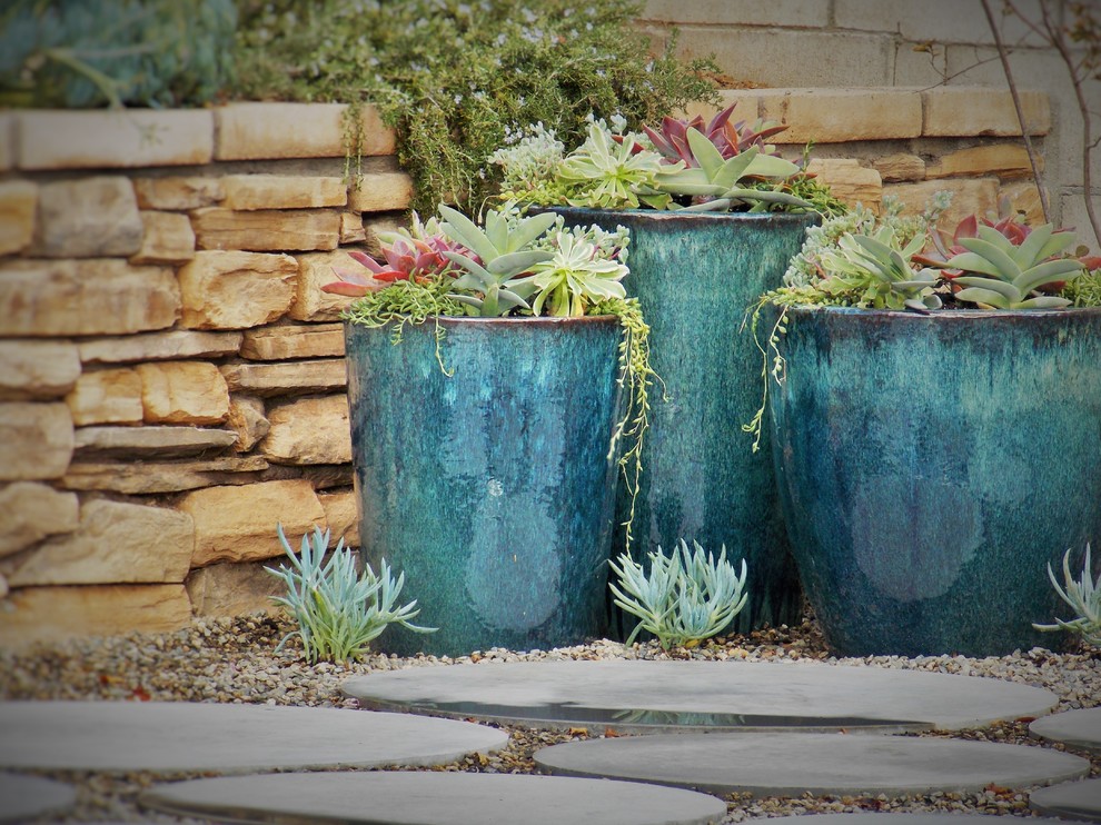 Foto di un giardino xeriscape bohémian esposto in pieno sole dietro casa in primavera con un giardino in vaso e pavimentazioni in cemento