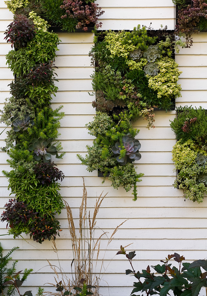 Mittelgroße Moderne Pflanzenwand neben dem Haus mit Pflastersteinen in Portland Maine