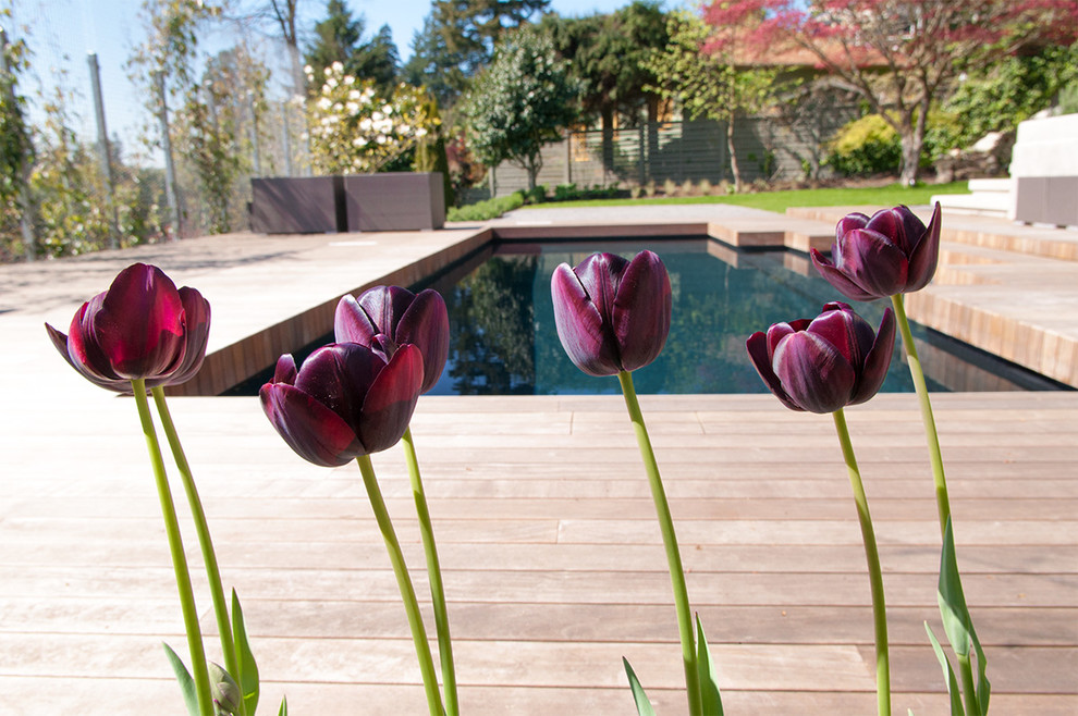 Ejemplo de jardín vintage de tamaño medio en primavera en patio trasero con fuente y entablado