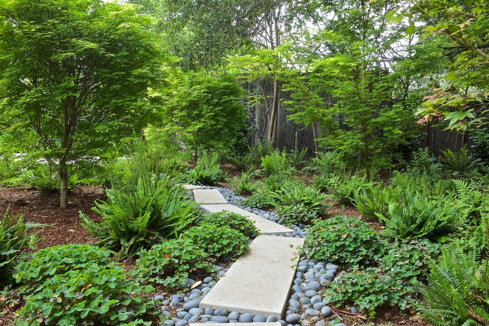 Immagine di un grande giardino minimal in ombra nel cortile laterale con un ingresso o sentiero e pavimentazioni in cemento