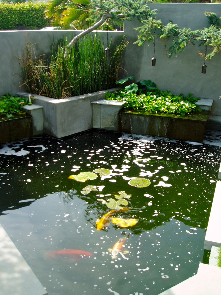 Design ideas for a mid-sized contemporary backyard concrete paver landscaping in San Diego.