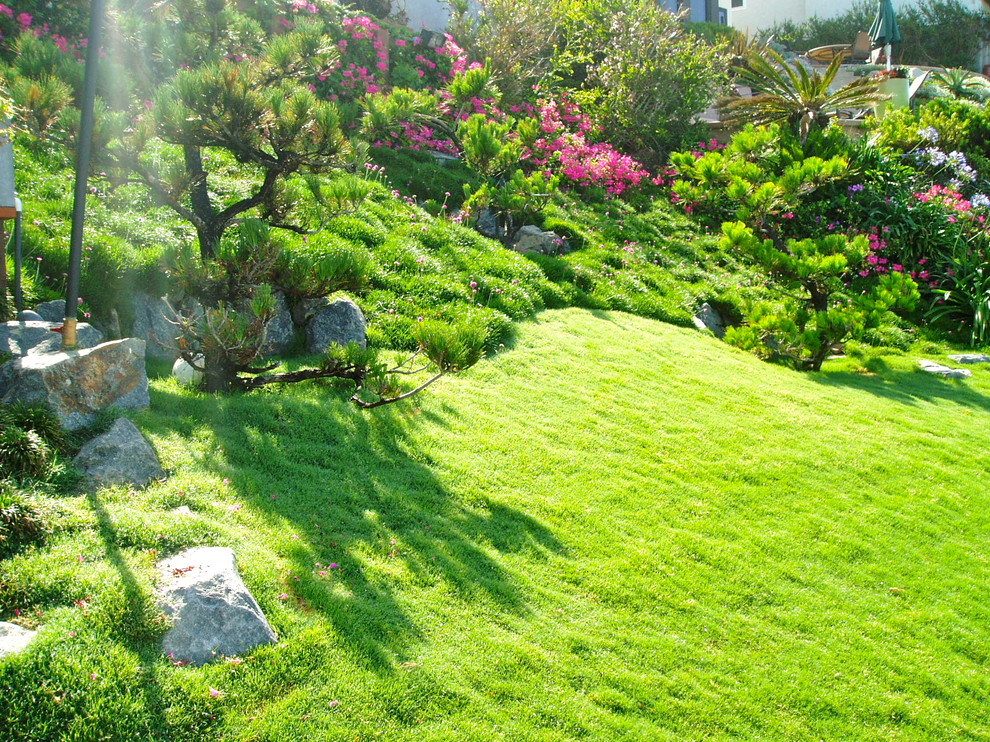 Mittelgroßer Moderner Gartenteich hinter dem Haus mit Betonboden in San Diego