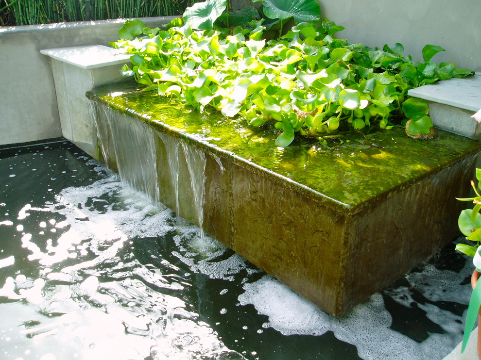 Ispirazione per un laghetto da giardino contemporaneo di medie dimensioni e dietro casa con pavimentazioni in cemento