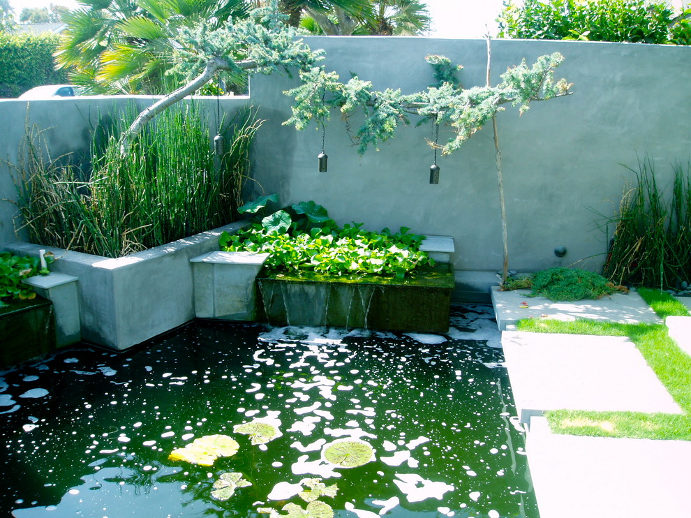 This is an example of a mid-sized contemporary backyard concrete paver pond in San Diego.