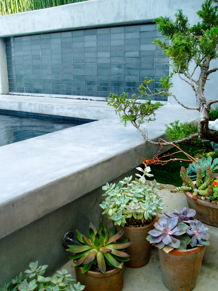 サンディエゴにある中くらいなコンテンポラリースタイルのおしゃれな裏庭 (池、コンクリート敷き	) の写真