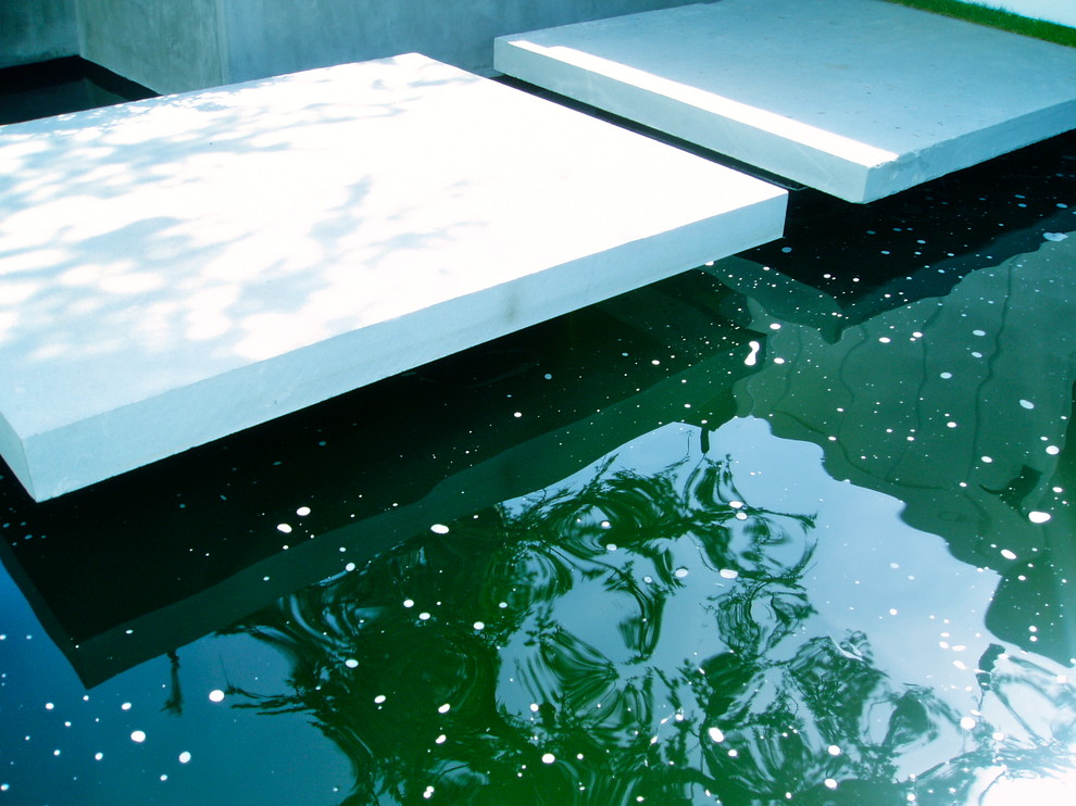 Foto di un laghetto da giardino design di medie dimensioni e dietro casa con pavimentazioni in cemento