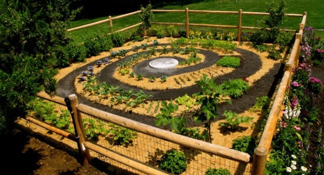 Ispirazione per un orto in giardino contemporaneo esposto in pieno sole di medie dimensioni e dietro casa in estate