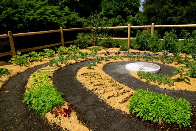 Foto di un orto in giardino design esposto in pieno sole di medie dimensioni e dietro casa in estate