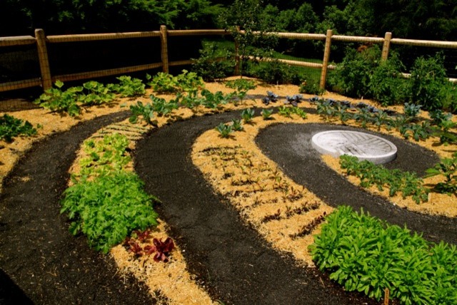 Immagine di un orto in giardino design esposto in pieno sole di medie dimensioni e dietro casa in estate