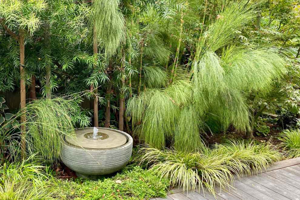 Idee per un giardino tropicale esposto a mezz'ombra dietro casa con fontane