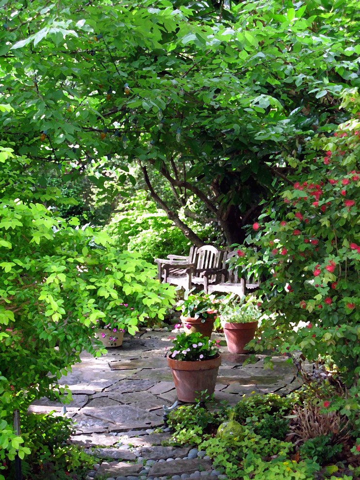 Design ideas for a landscaping in Houston.