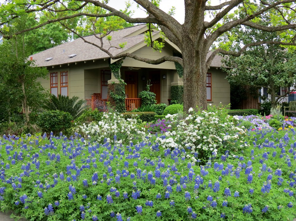 Design ideas for a traditional drought-tolerant landscaping in Houston.