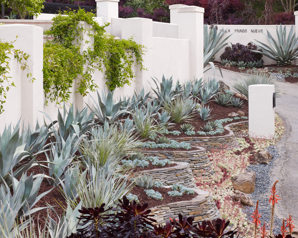 Immagine di un giardino design esposto in pieno sole davanti casa